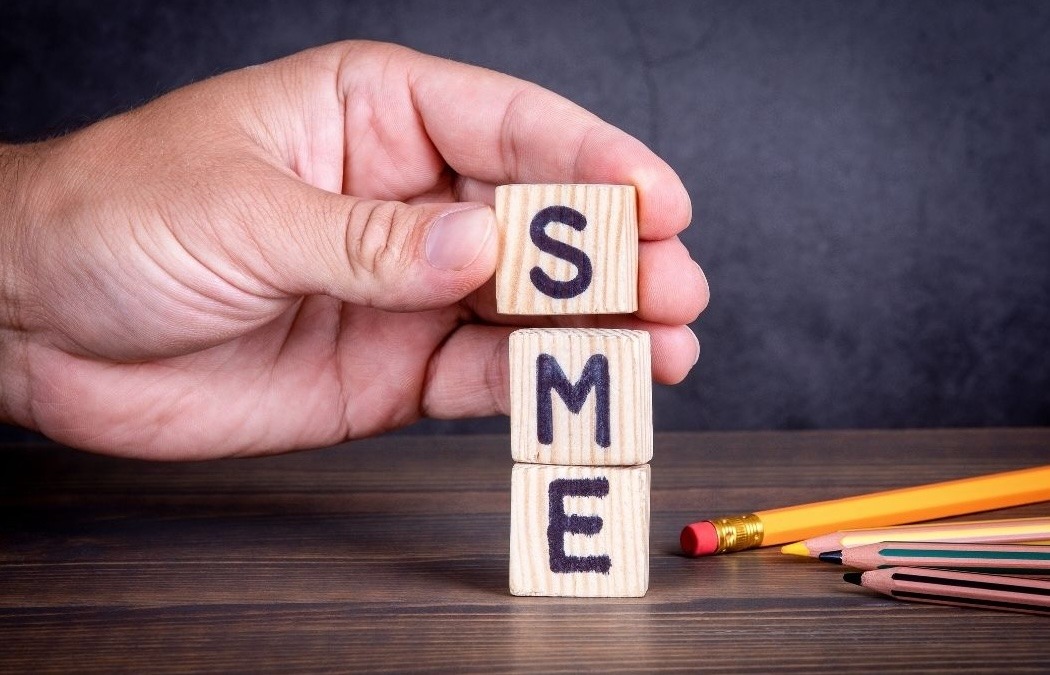 What do SMEs Need? thumbnail image